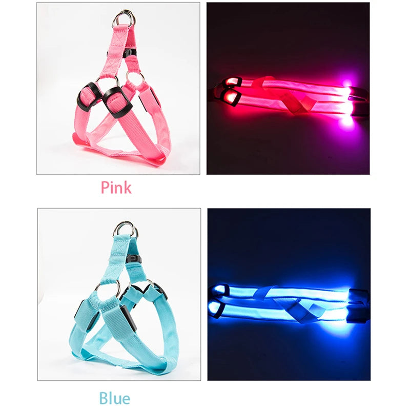 Adjustable LED Dog Harness – No Pull Nylon Chest Strap for Night Safety | Small to Large Dogs